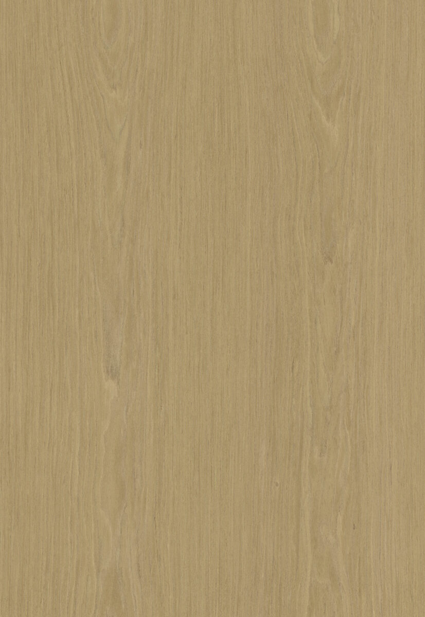 Natural oak wood surface ideal for furniture and interior design projects.
