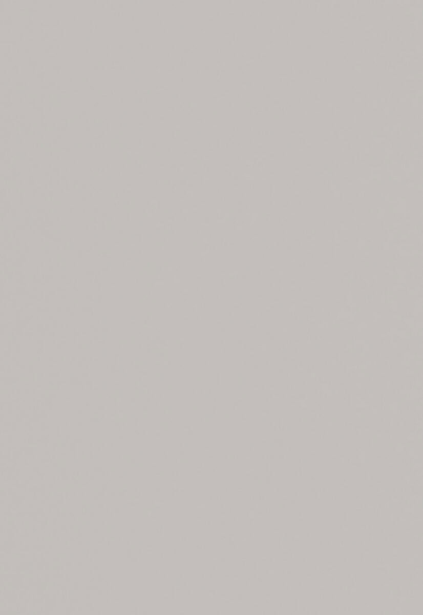 Modern minimalist grey wardrobe door, sleek design, premium furniture, bedroom storage solutions, Saloni Furniture collection.